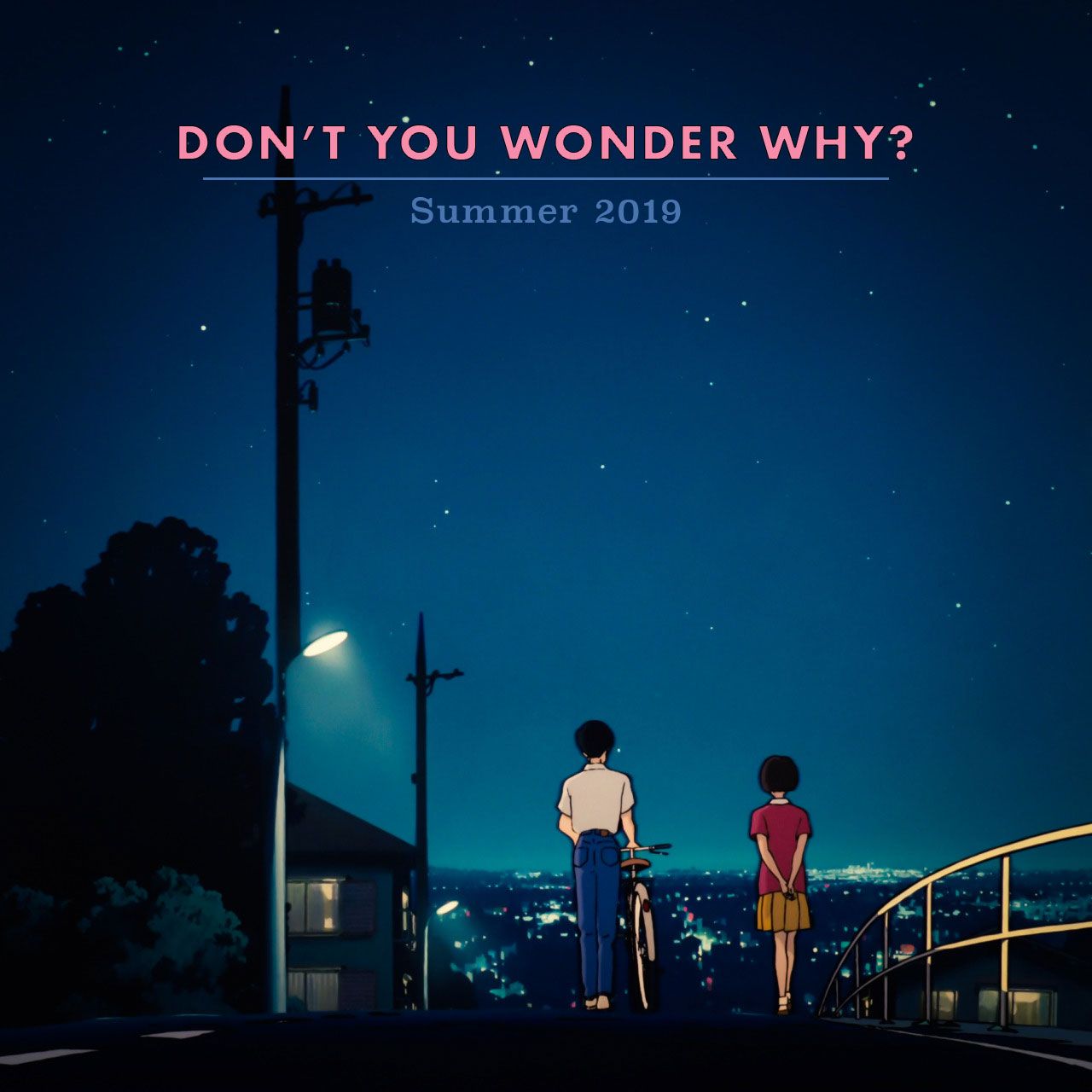 cover image for Don't You Wonder Why?