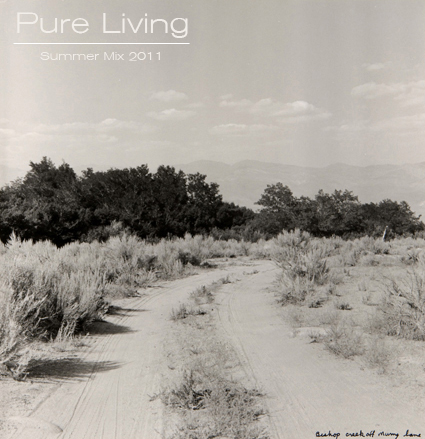 cover image for Pure Living: Summer Mix 2011