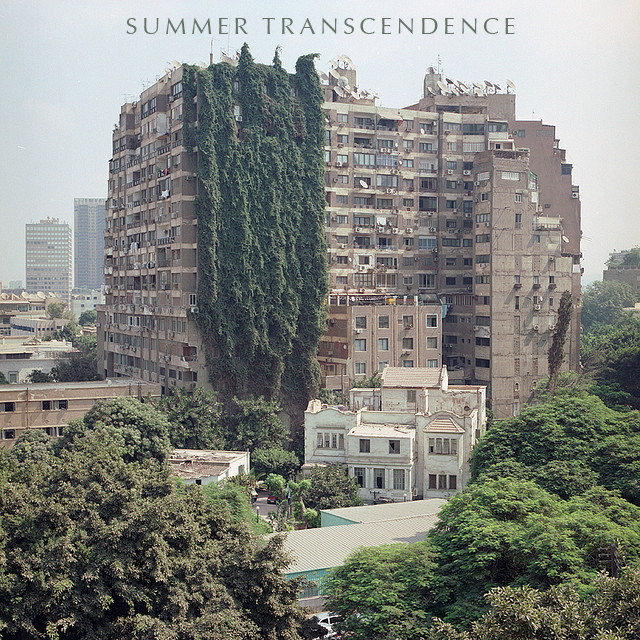 cover image for Summer Transcendence