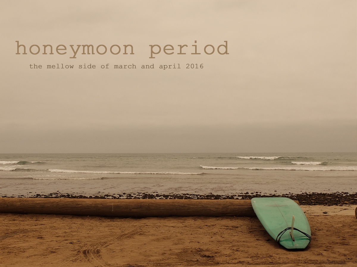 cover image for honeymoon period